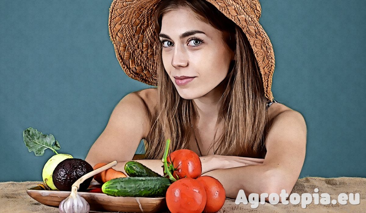agrotopia.funktify.xyz